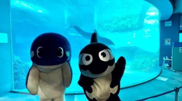 1635770467688028674.jpeg 44.jpeg